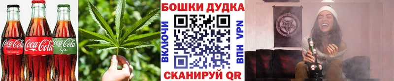 Cannafood конопля мега сайт shop официальный сайт Лермонтов