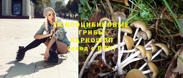 МДПВ Алексин