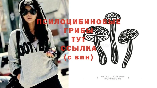 гидропоника Алзамай